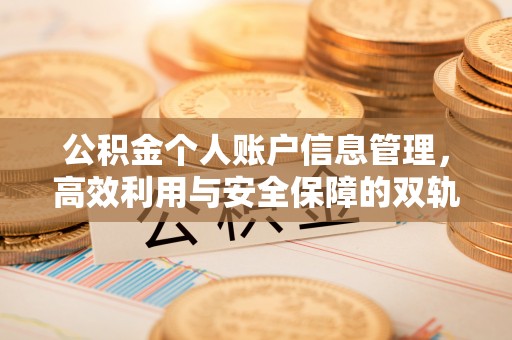 龙海公积金个人账户信息管理，高效利用与安全保障的双轨并行