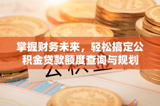 龙海掌握财务未来，轻松搞定公积金贷款额度查询与规划