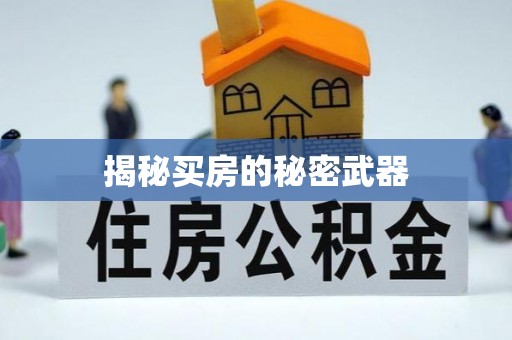 龙海揭秘买房的秘密武器