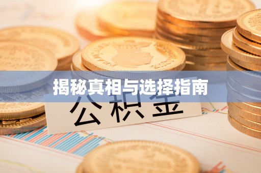 龙海揭秘真相与选择指南