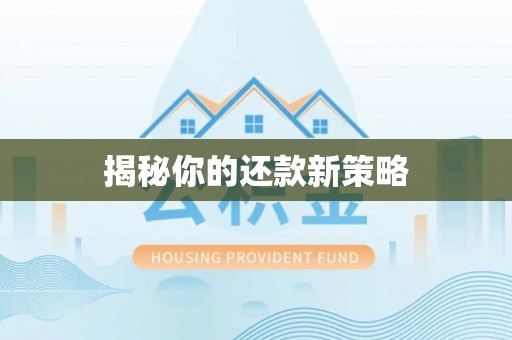 龙海揭秘你的还款新策略