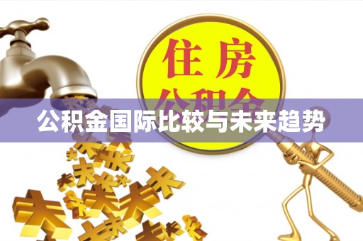 龙海公积金国际比较与未来趋势