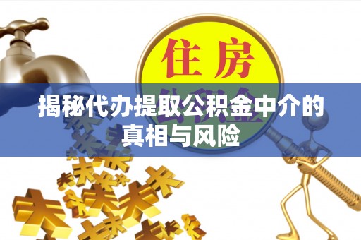 龙海揭秘代办提取公积金中介的真相与风险