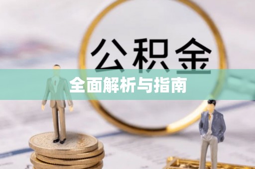龙海全面解析与指南