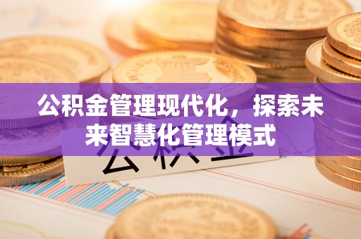 龙海公积金管理现代化，探索未来智慧化管理模式