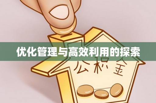 龙海优化管理与高效利用的探索