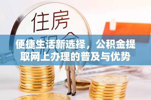 龙海便捷生活新选择，公积金提取网上办理的普及与优势
