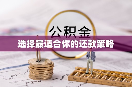 龙海选择最适合你的还款策略