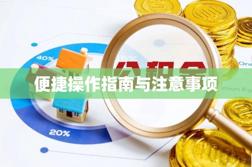龙海便捷操作指南与注意事项